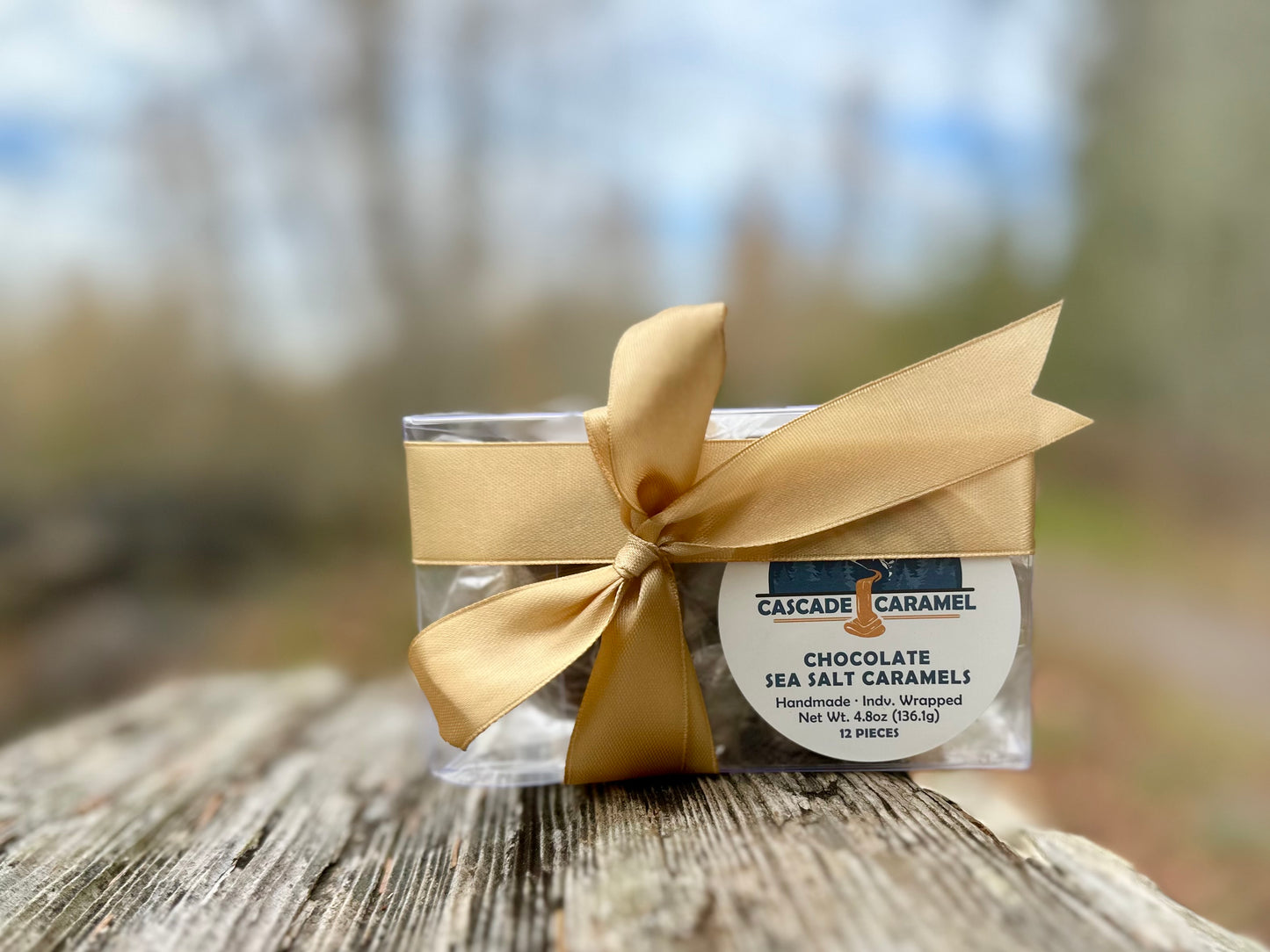 Chocolate Sea Salt Caramels - 12 piece Gift Box